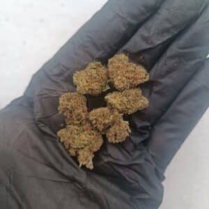 Fleurs de CBD Ak47 Pop-corn Hydro
