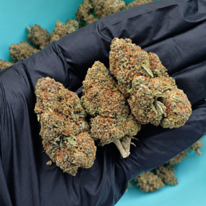 Fleurs de CBD Creamy Puff Greenhouse 1